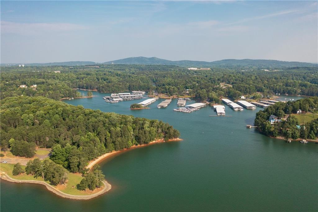 532 Alice Way, Unit D8 Cumming, GA 30040 - Photo 38 of 40 an aerial view of a house with a lake view