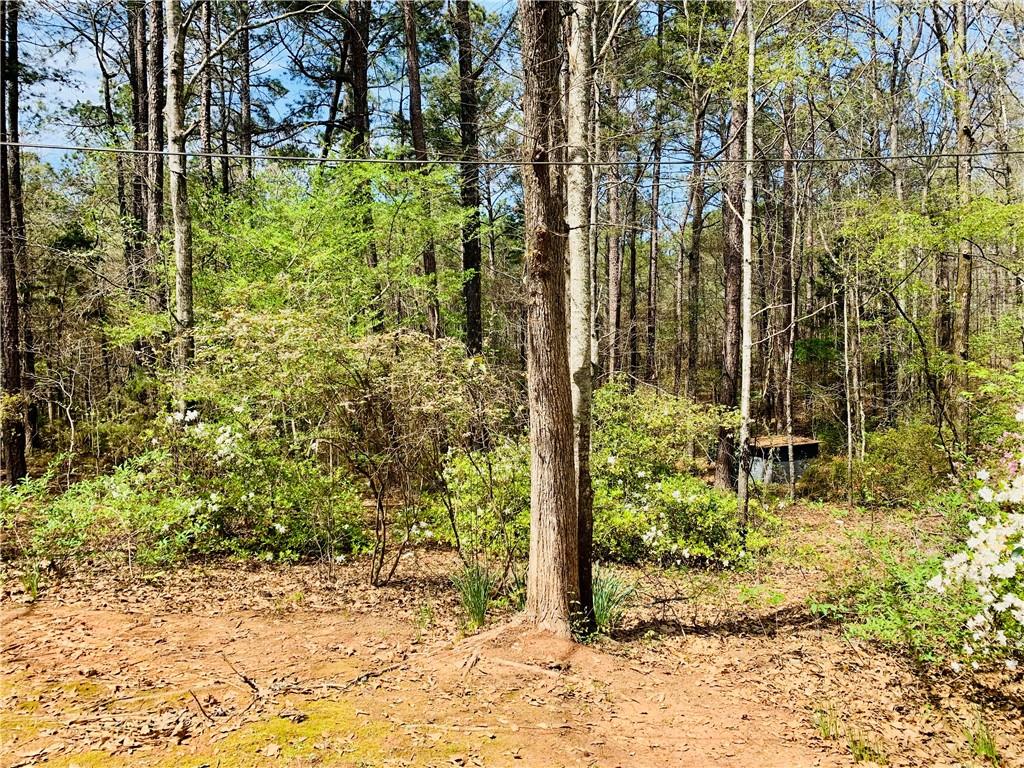 1688 Bartley Road LaGrange, GA 30240 - Photo 32 of 34