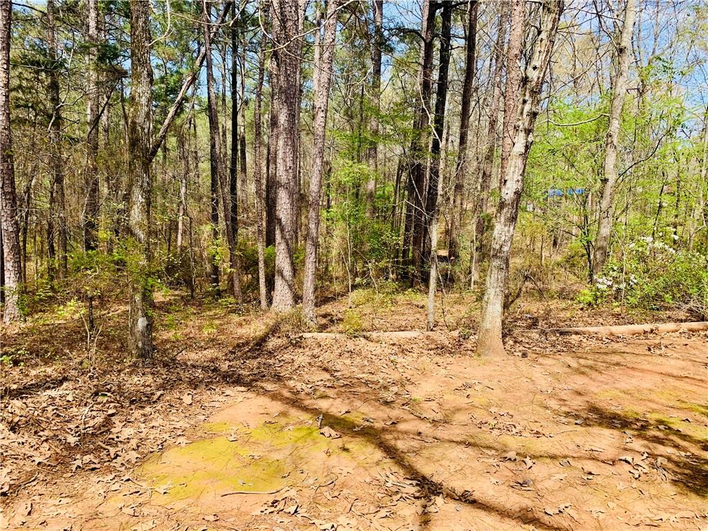 1688 Bartley Road LaGrange, GA 30240 - Photo 34 of 34