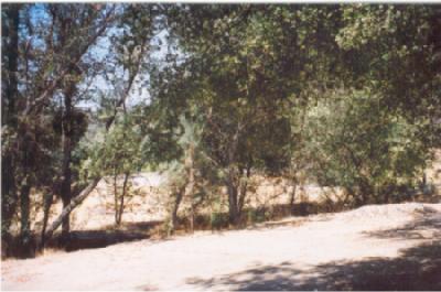 28544 Gibbs Ranch Road Tollhouse, CA 93667 - Photo 2 of 2 Gallery Image 2