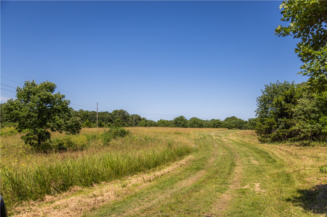 10022 West Devils Den Road Winslow, AR 72959 - Photo 56 of 60 Gallery Image 56