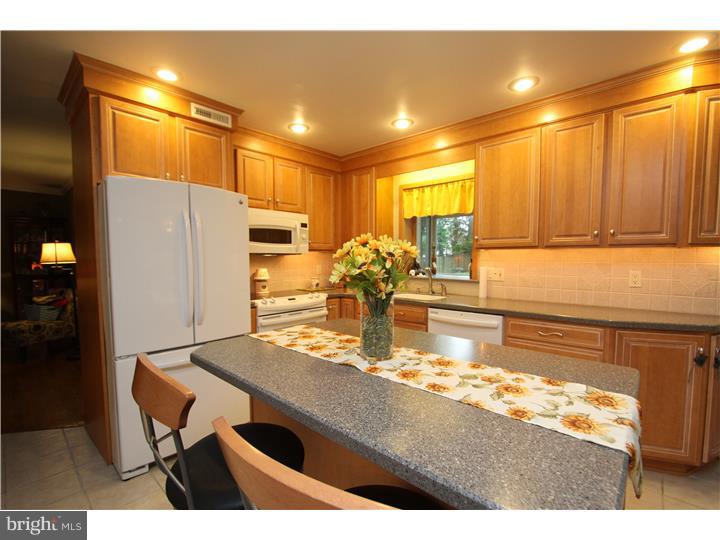 745 Bridgeview Road Langhorne, PA 19053 - Photo 10 of 25 Kitchen