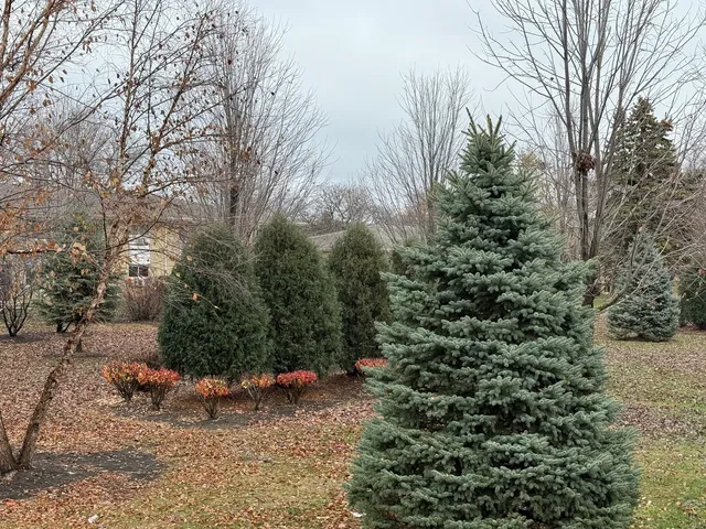 $2,000 | 5725 Holmes Avenue, Unit 15, Clarendon Hills, IL 60514