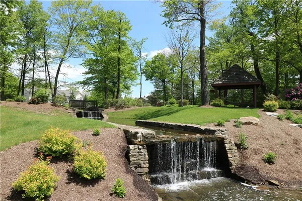 a view of a park with large trees