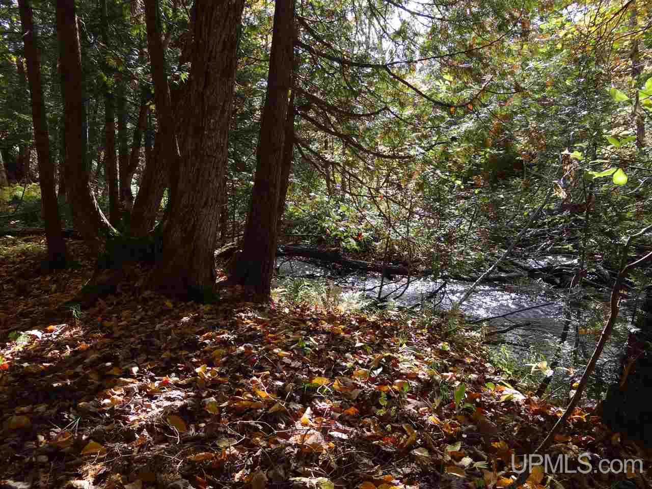 Tbd Winona Road Toivola, MI 49965 - Photo 17 of 23 Gallery Image 17
