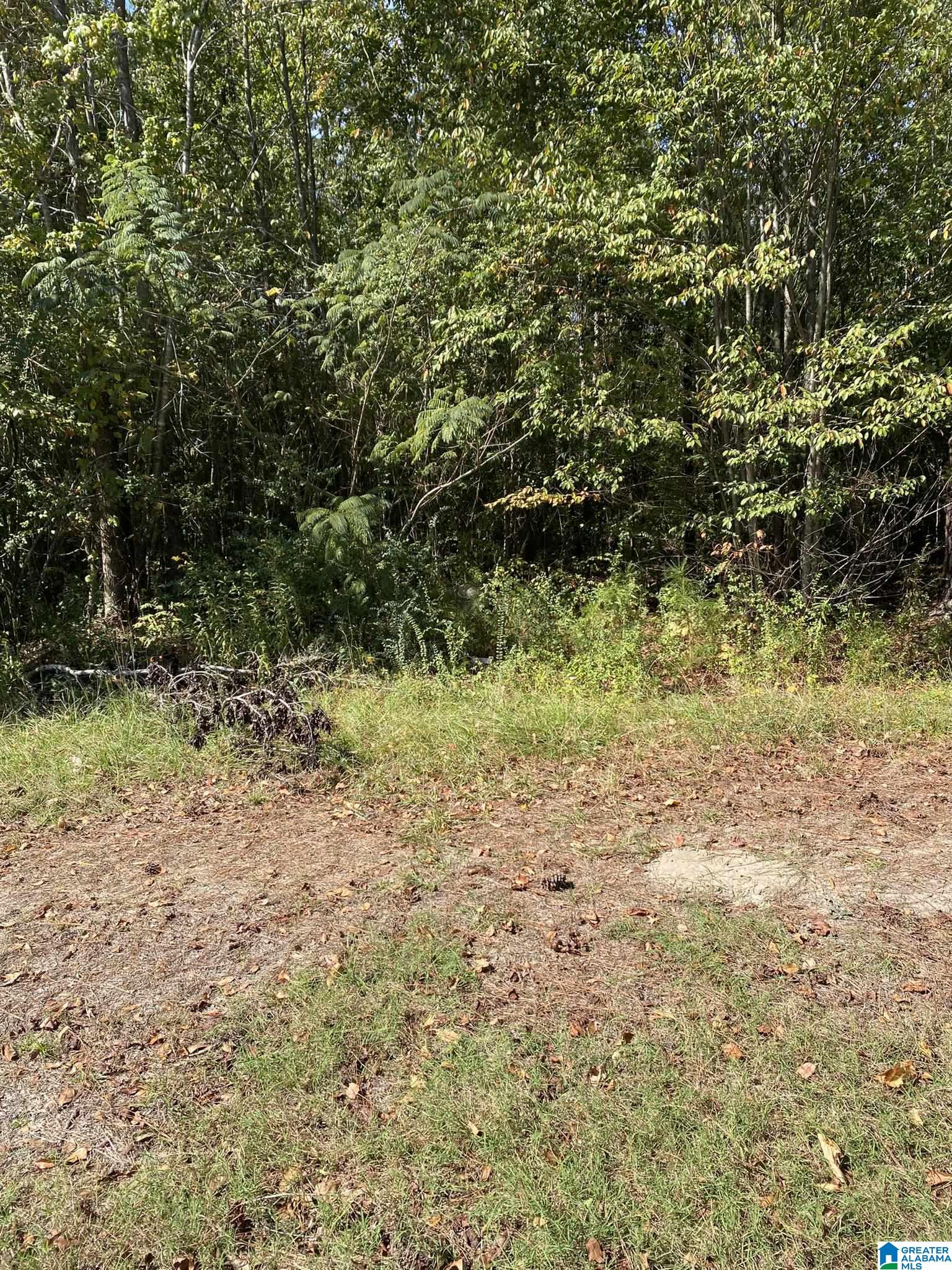 77 Armstrong Road, Unit 1 Ashville, AL 35953 - Photo 7 of 8