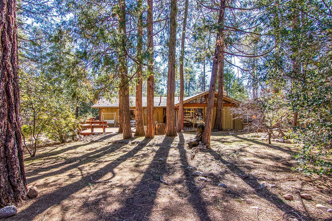 26910 Saunders Meadow Road Idyllwild, CA 92549 - Photo 54 of 62 a view of a yard with trees