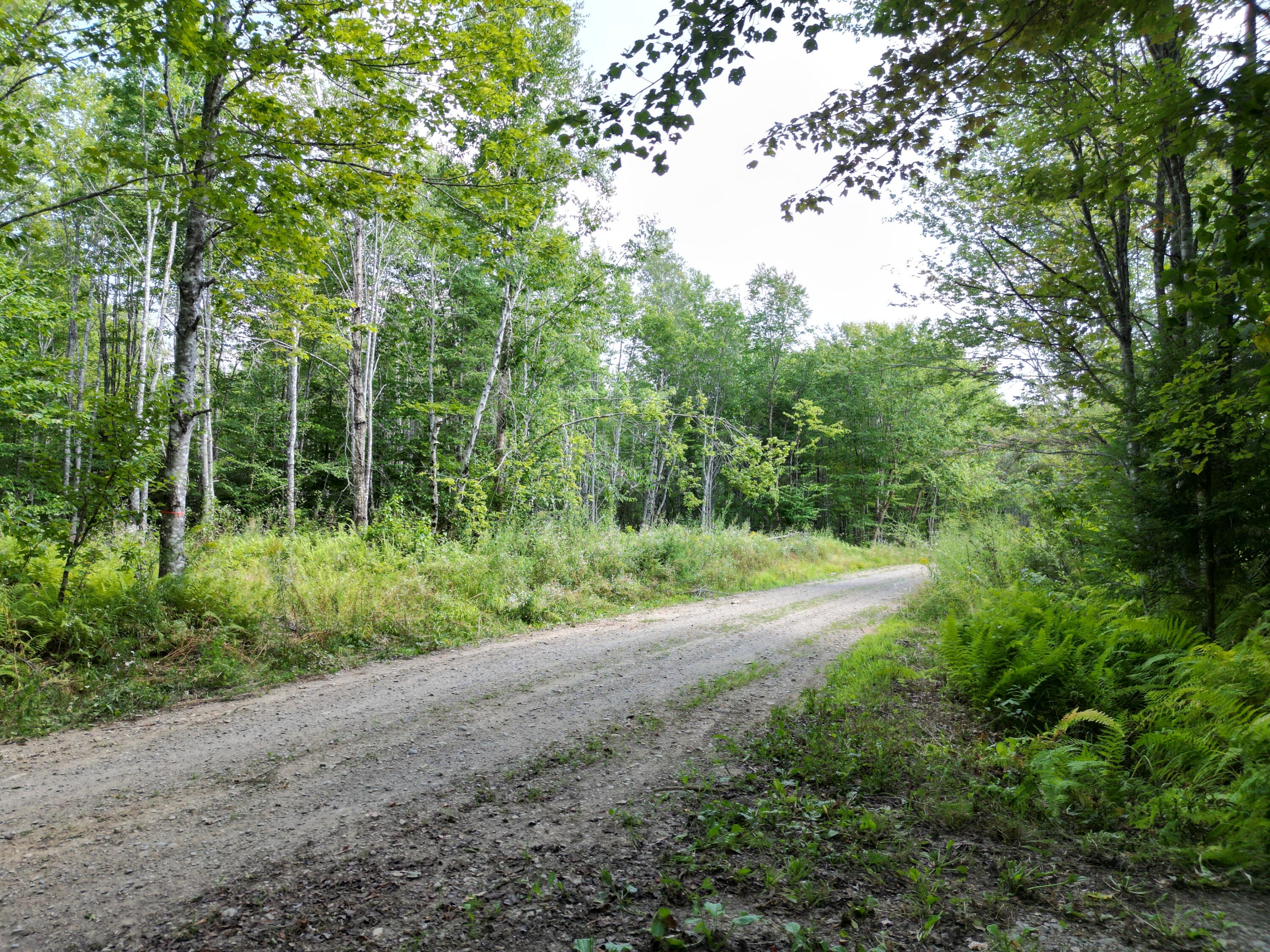 514 Independence Circle Springfield, ME 04487 - Photo 37 of 38 DJI_0292