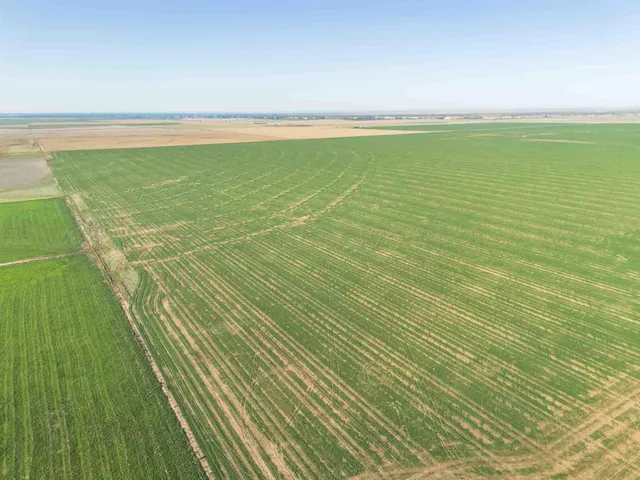 $1,664,500 | 665.8 Acres, Amarillo, TX 79118