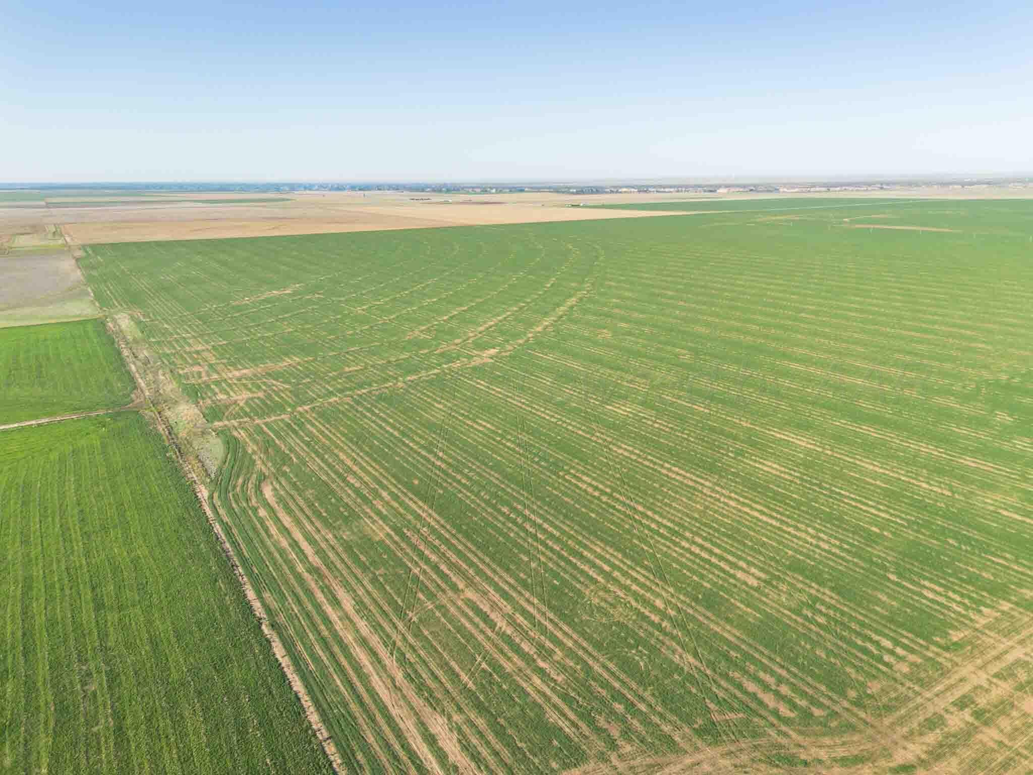 665.8 Acres Amarillo, TX 79118 - Photo 11 of 13 a view of an ocean