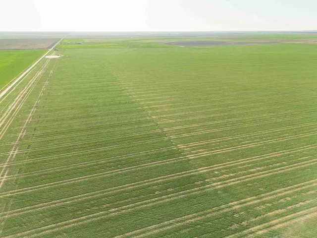 $1,664,500 | 665.8 Acres, Amarillo, TX 79118
