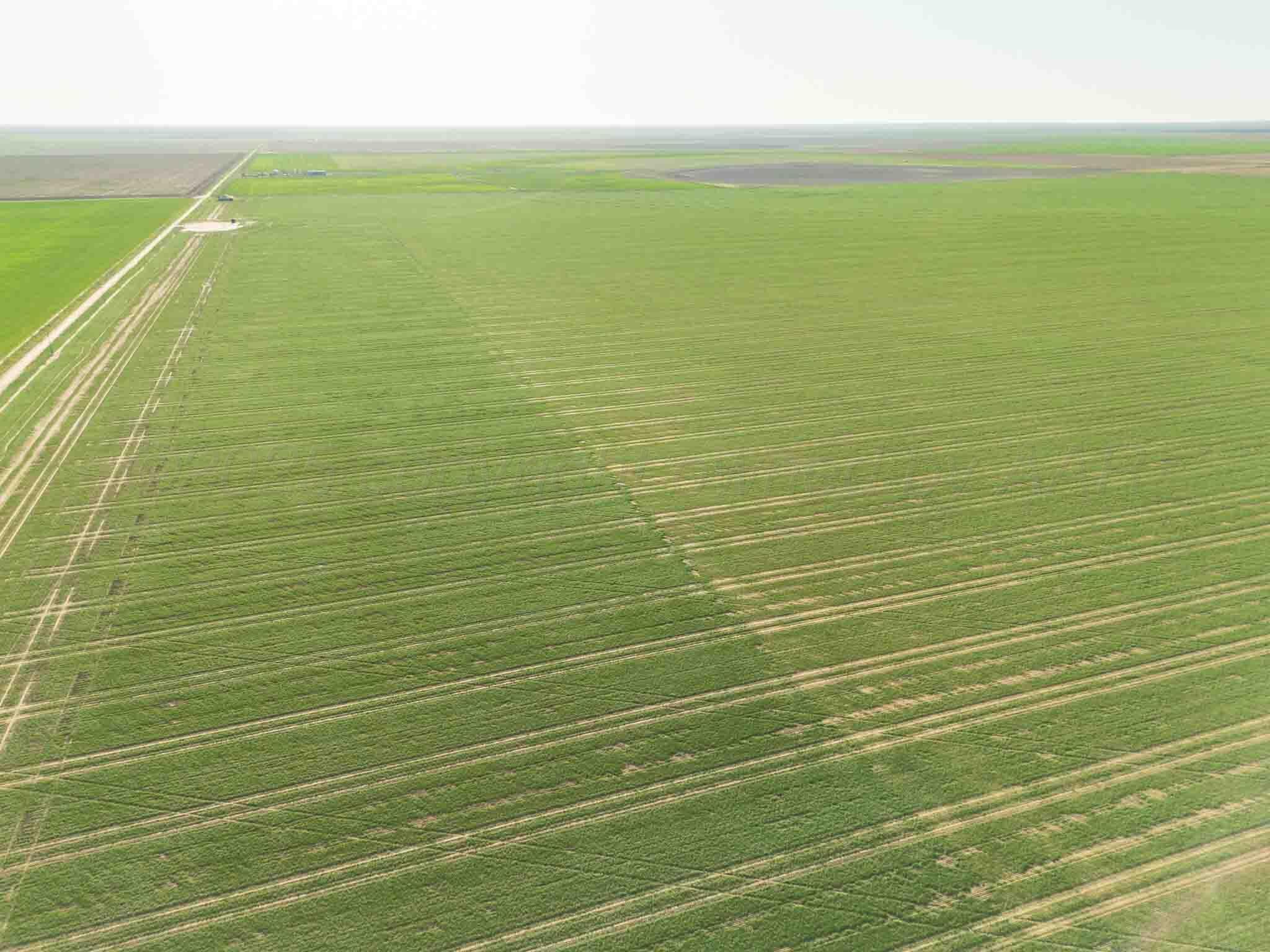 665.8 Acres Amarillo, TX 79118 - Photo 13 of 13 a view of a ocean view