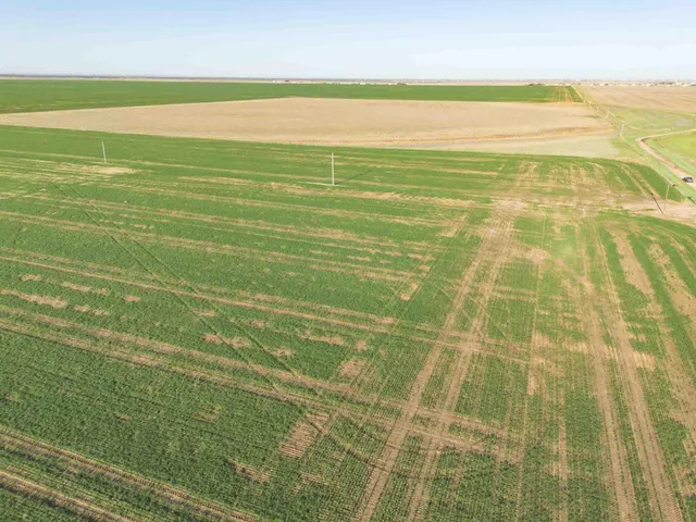 a view of a tennis court
