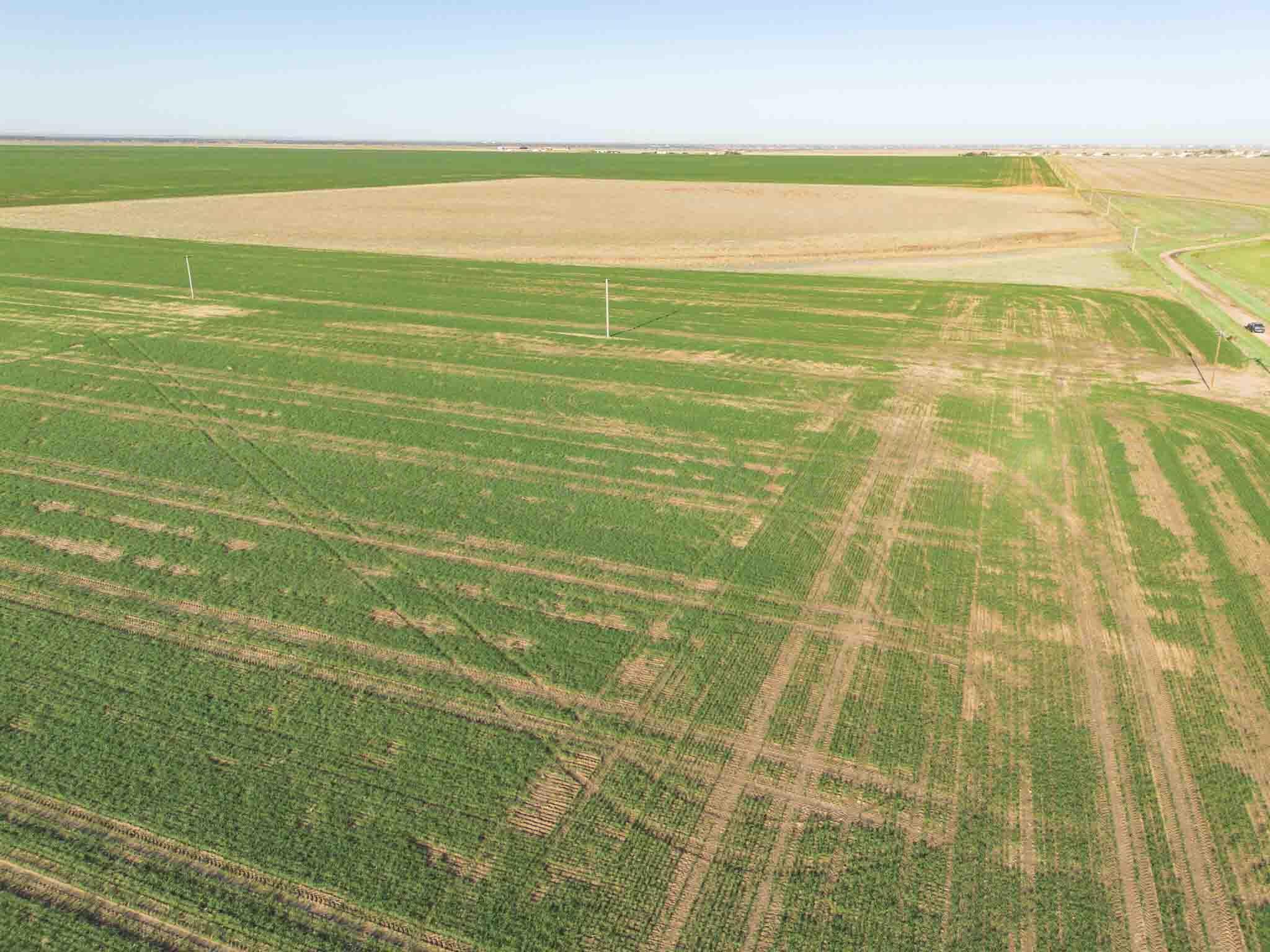 665.8 Acres Amarillo, TX 79118 - Photo 4 of 13