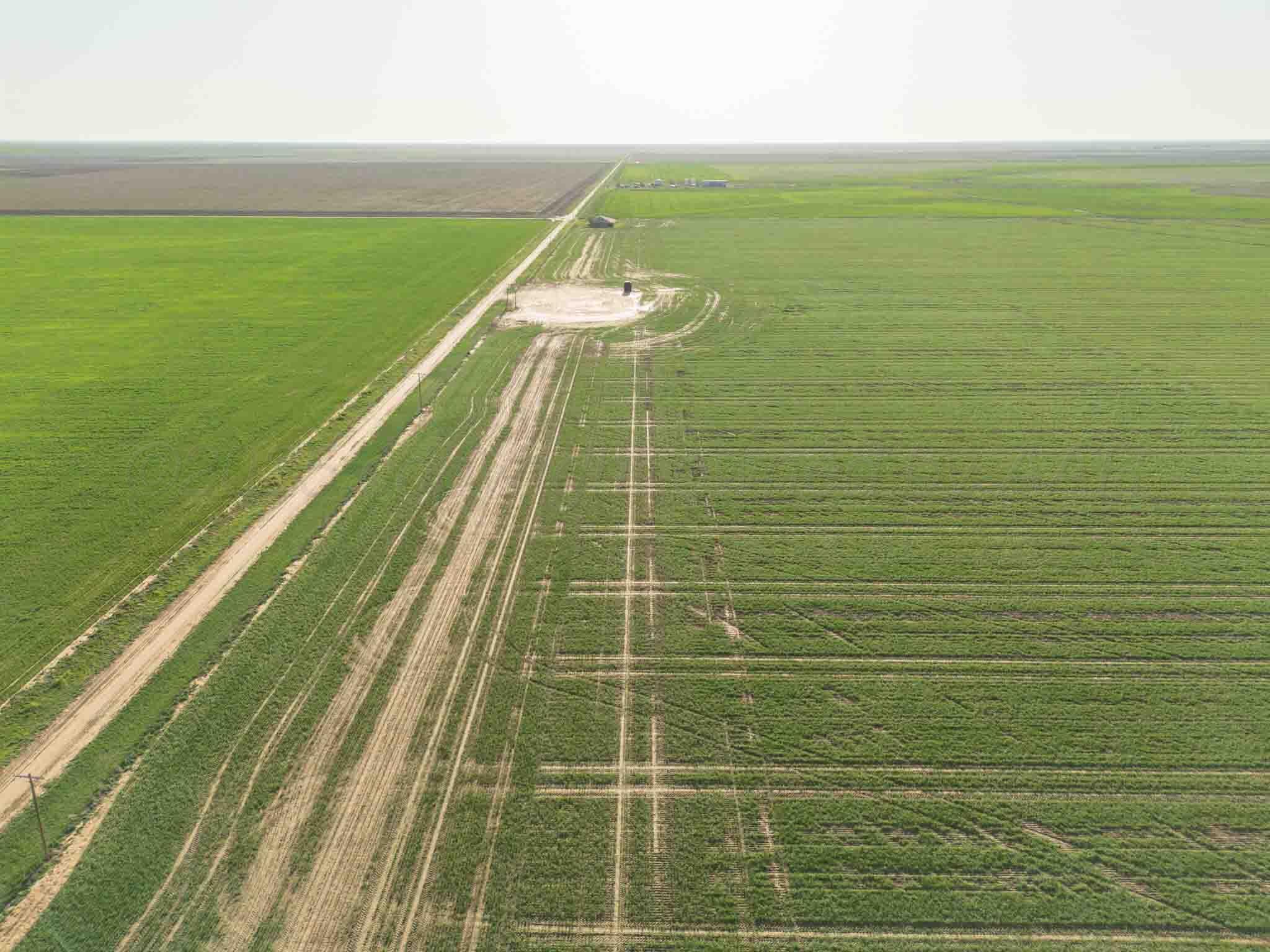 665.8 Acres Amarillo, TX 79118 - Photo 5 of 13 a view of a tennis court