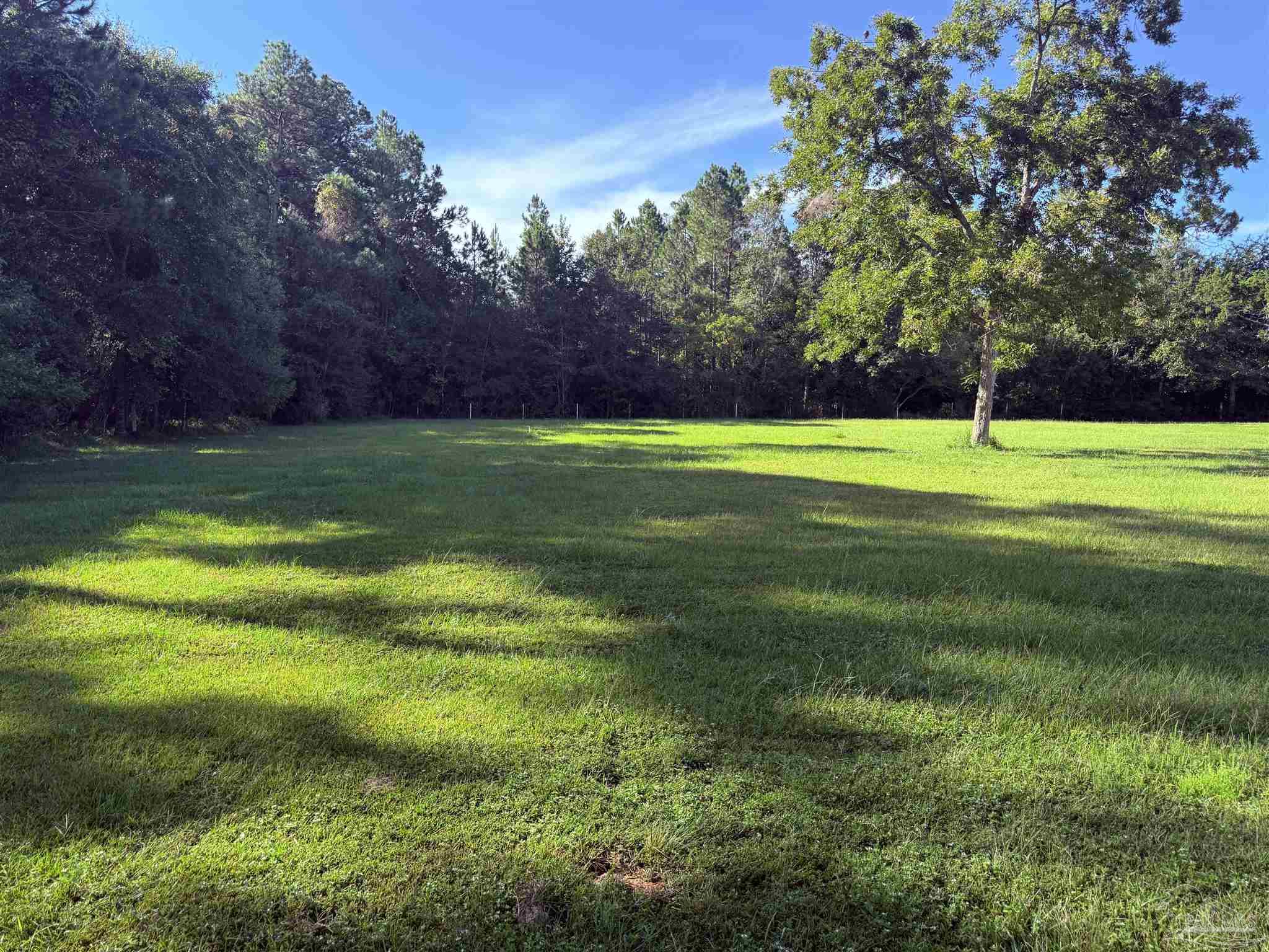 10100 North Loop Road Pensacola, FL 32507 - Photo 4 of 8 a view of a field of grass and trees