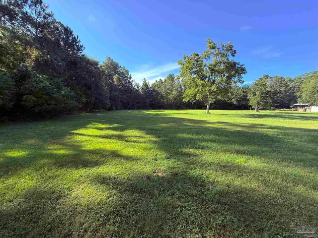 a view of a big yard with a large trees