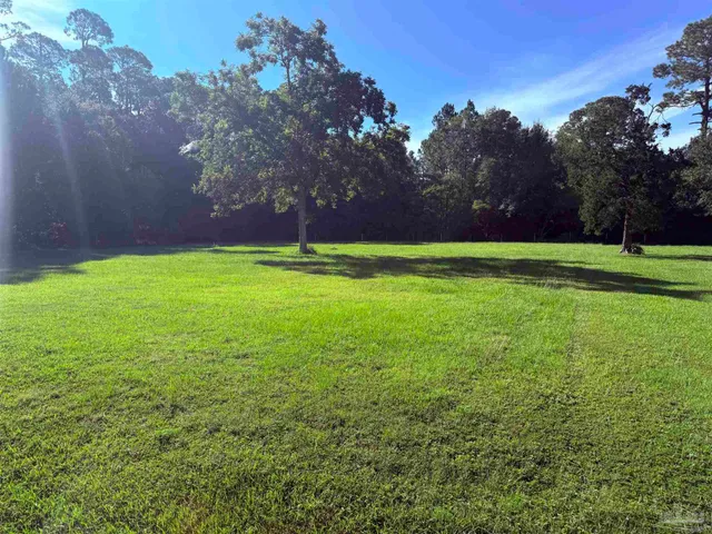 a view of a yard with a house in the background