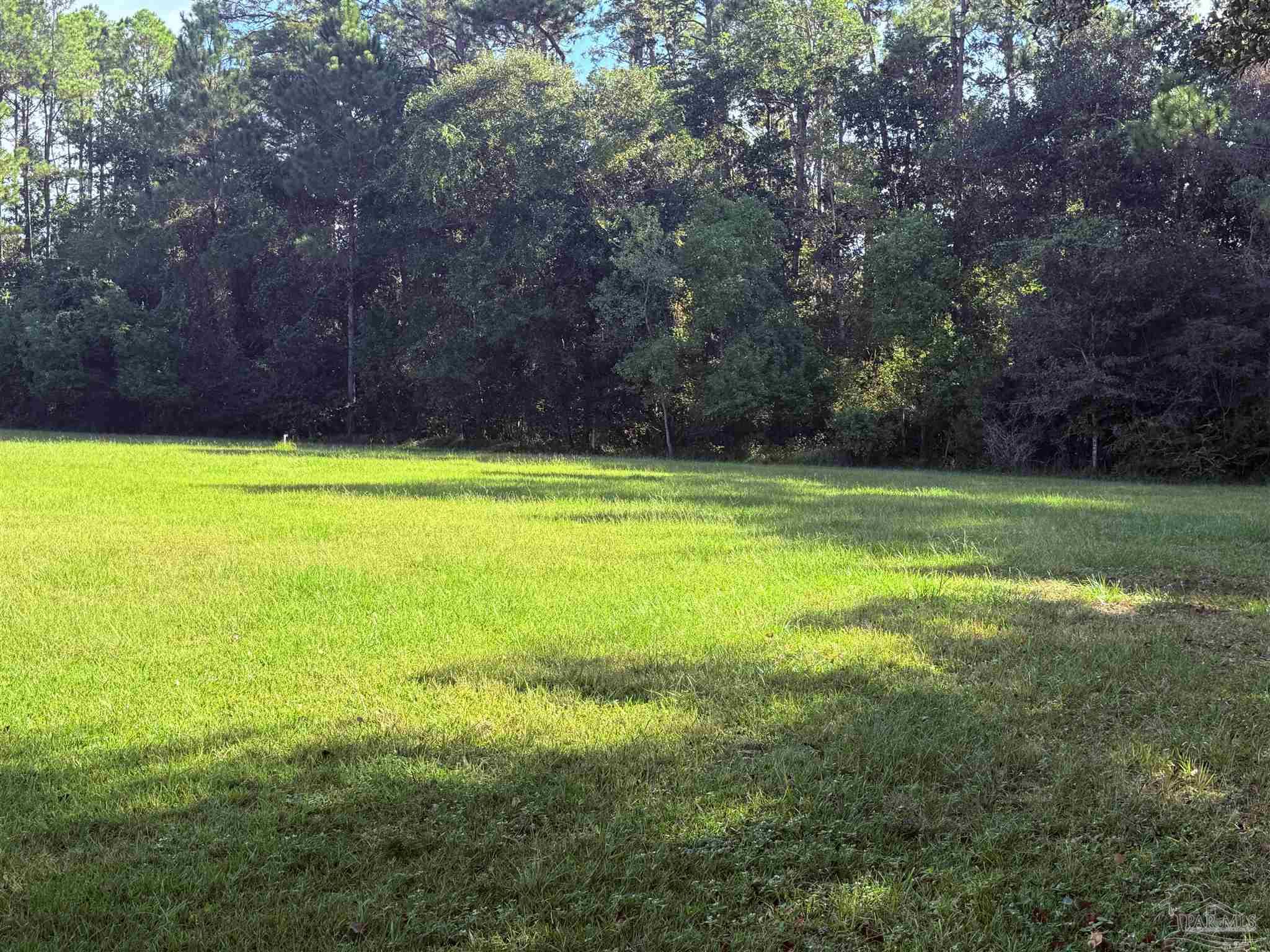 10100 North Loop Road Pensacola, FL 32507 - Photo 7 of 8 a view of a large yard with large trees