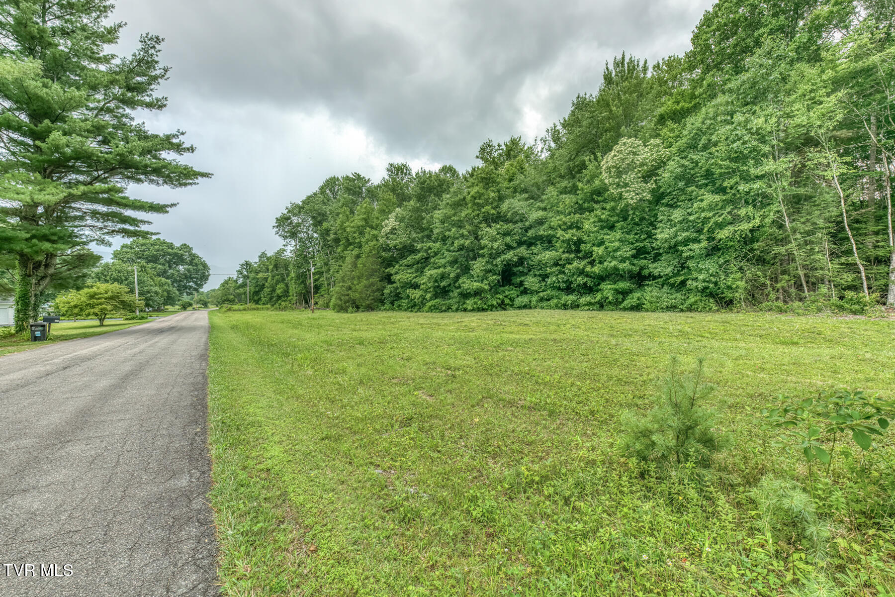 1678 Sluder Road Shady Valley, TN 37688 - Photo 101 of 110 1678 Sluder Rd-101