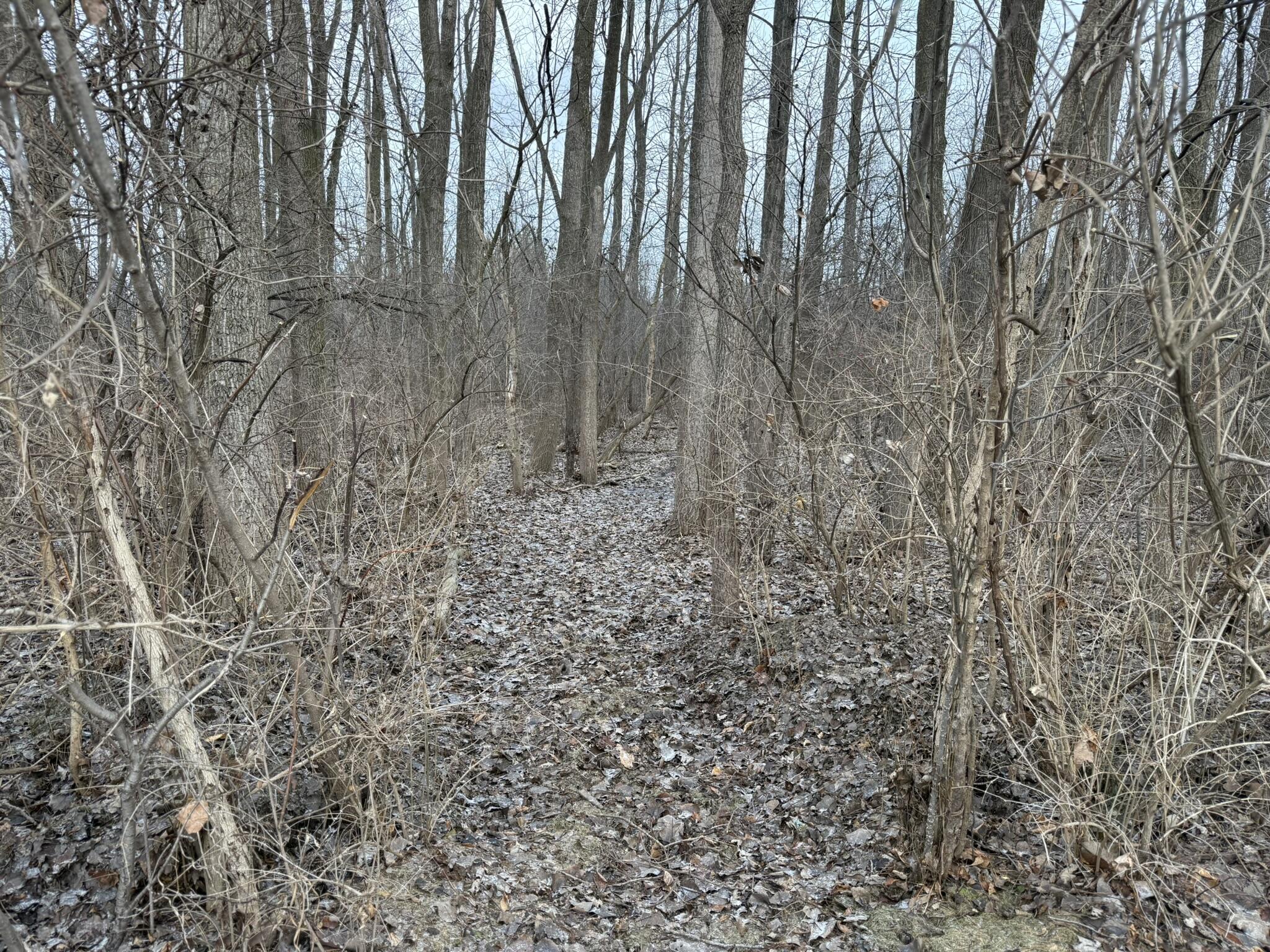 49650 Warren Road Canton, MI 48187 - Photo 46 of 54 IMG_7370