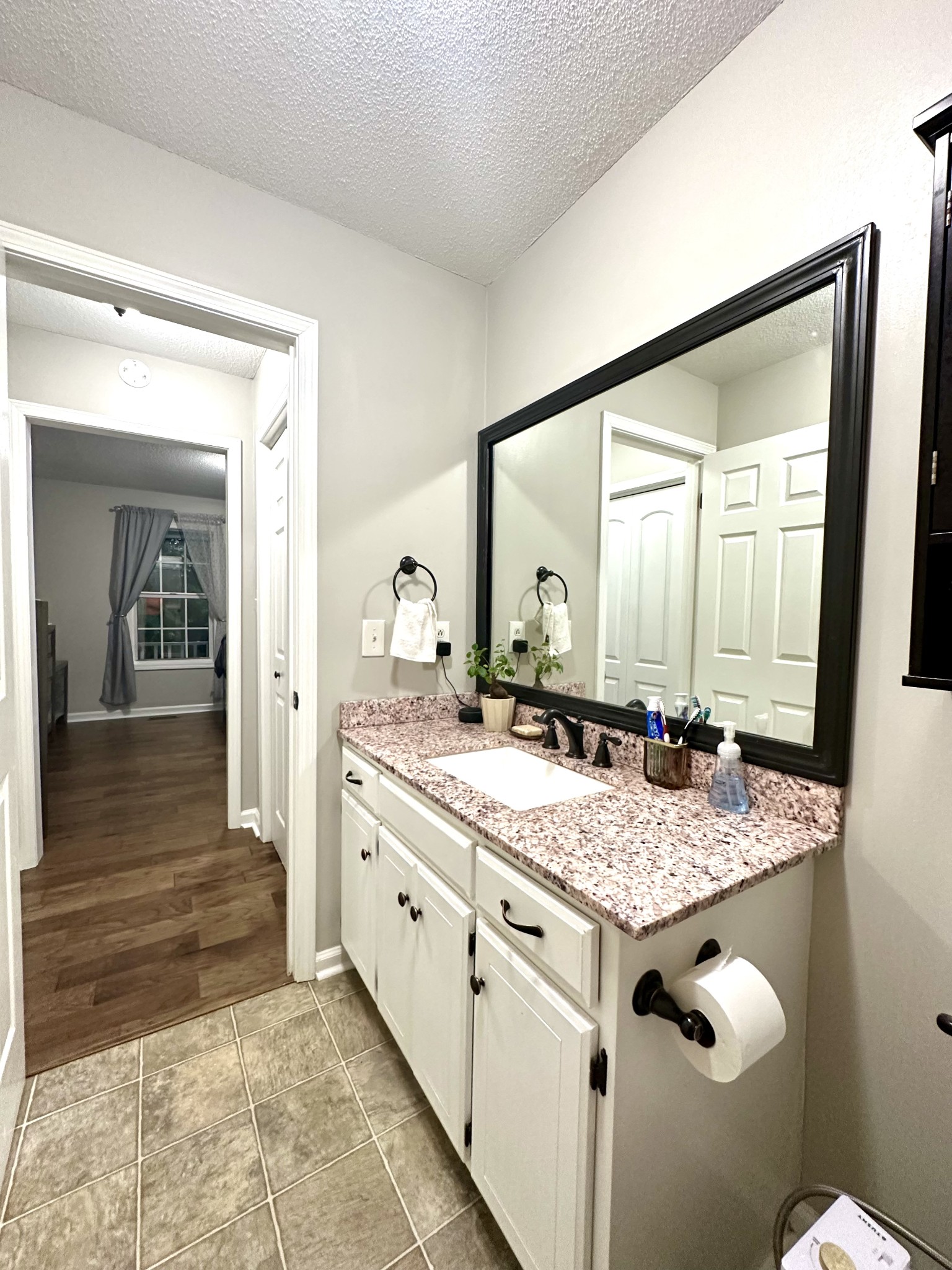 2417 Patterson Road Woodlawn, TN 37191 - Photo 42 of 68 a bathroom with a granite countertop sink and a mirror