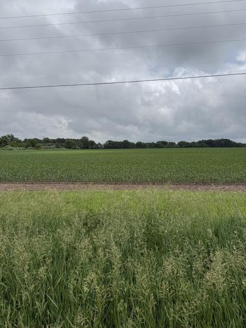 V/l Satterlee Road Greenville, MI 48838 - Photo 5 of 7 IMG_4734