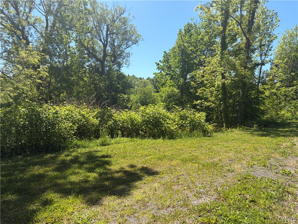 Townline Road Onondaga, NY 13215 - Photo 2 of 4