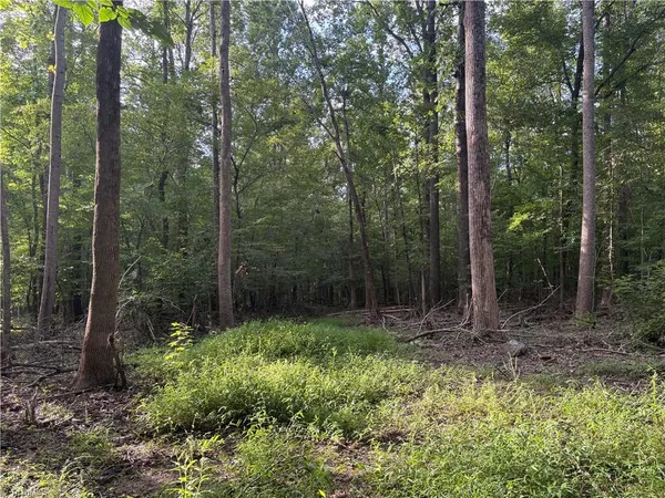 $230,000 | 7149 Nature Road, Liberty, NC 27298