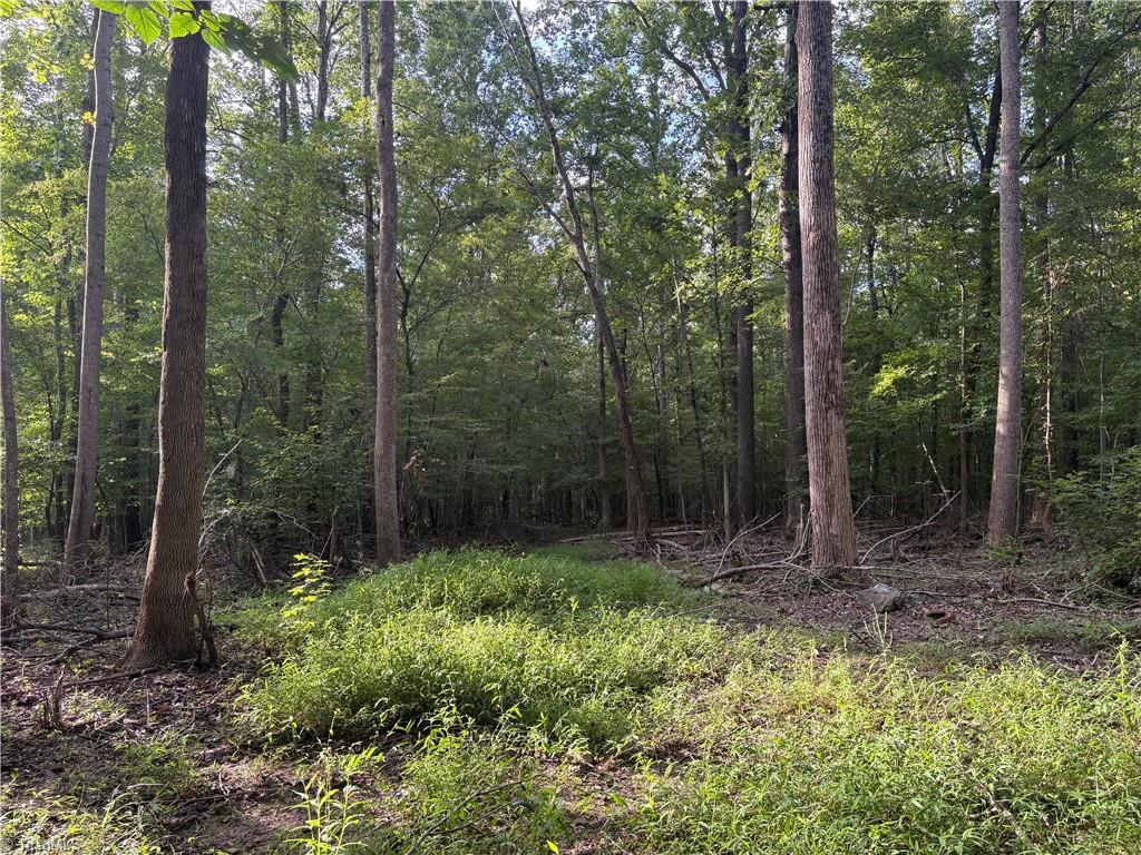 7149 Nature Road Liberty, NC 27298 - Photo 1 of 7