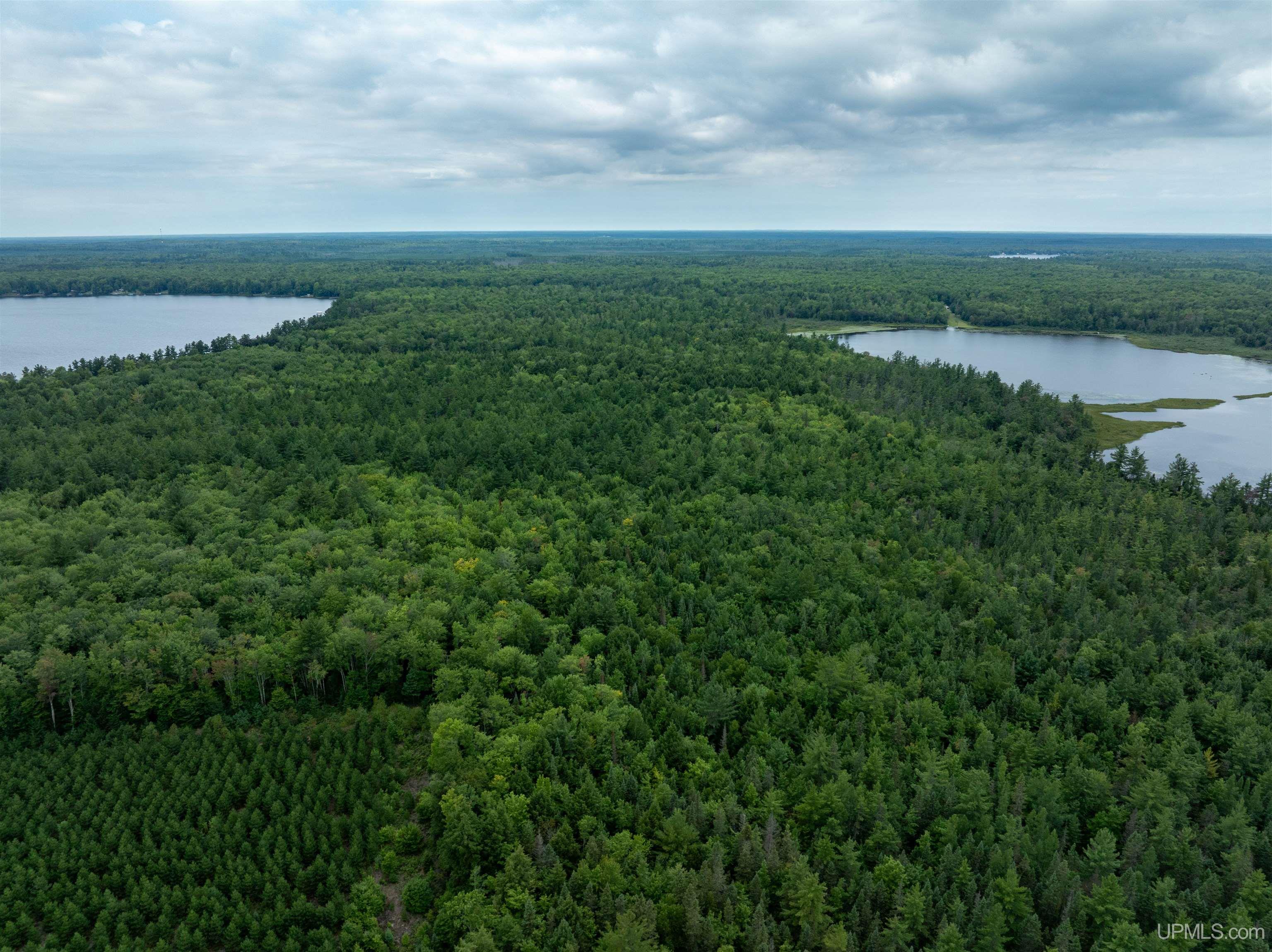 Tbd Round Lake Road Munising, MI 49862 - Photo 5 of 13