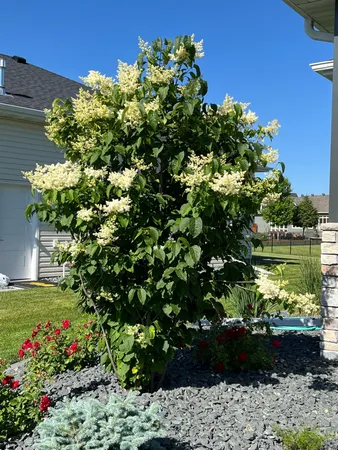 $1,049,900 | 324 25th Avenue East, West Fargo, ND 58078