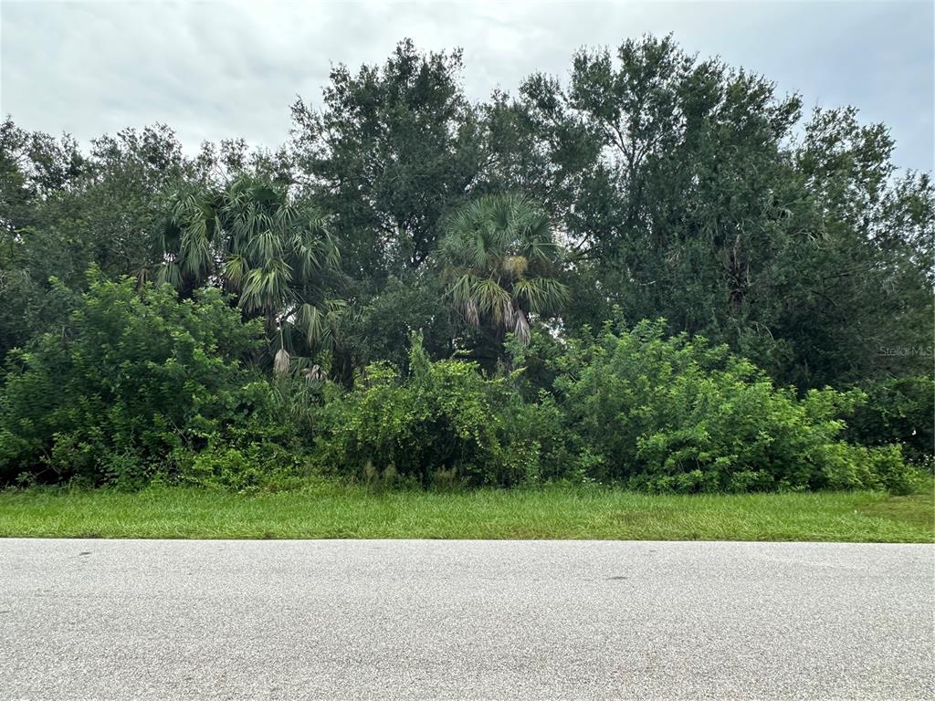 a view of a yard with a large trees
