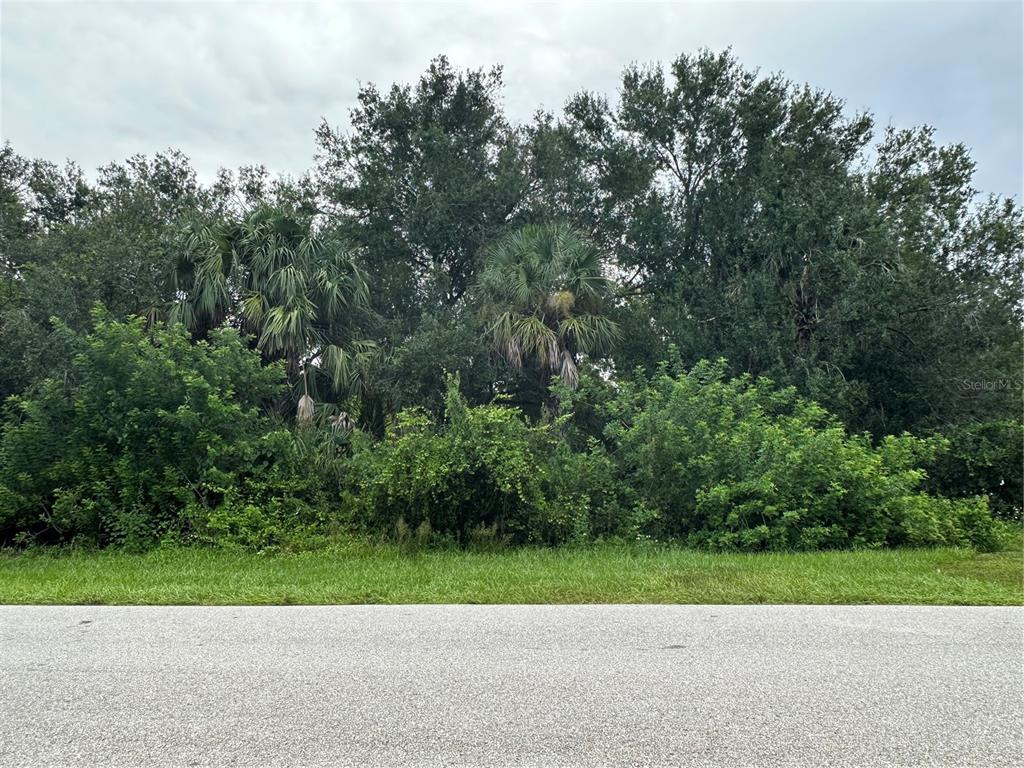 124 Sunset Boulevard East Punta Gorda, FL 33982 - Photo 2 of 4 a view of a yard and a large trees