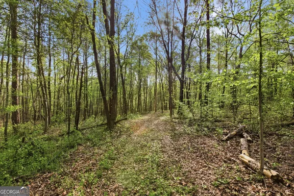 $550,000 | 6668 Belton Bridge Road, Lula, GA 30554