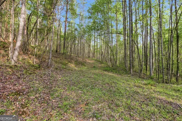 $550,000 | 6668 Belton Bridge Road, Lula, GA 30554