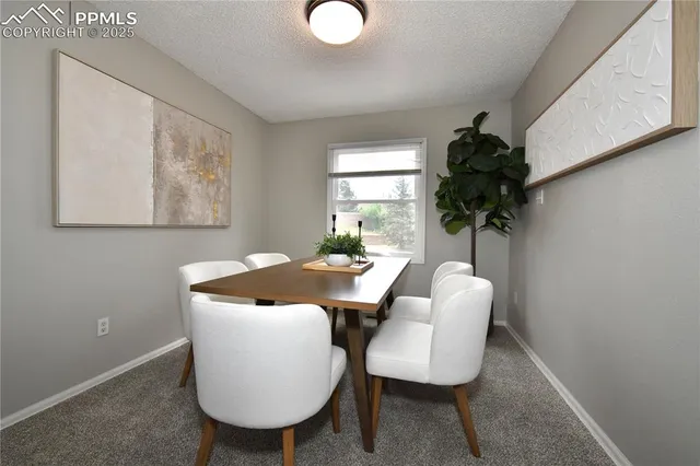 a dinning room with furniture and window