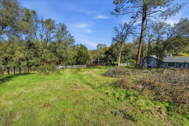 a view of a backyard