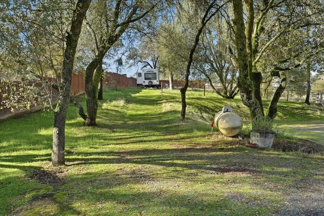 a view of a golf ground with large trees