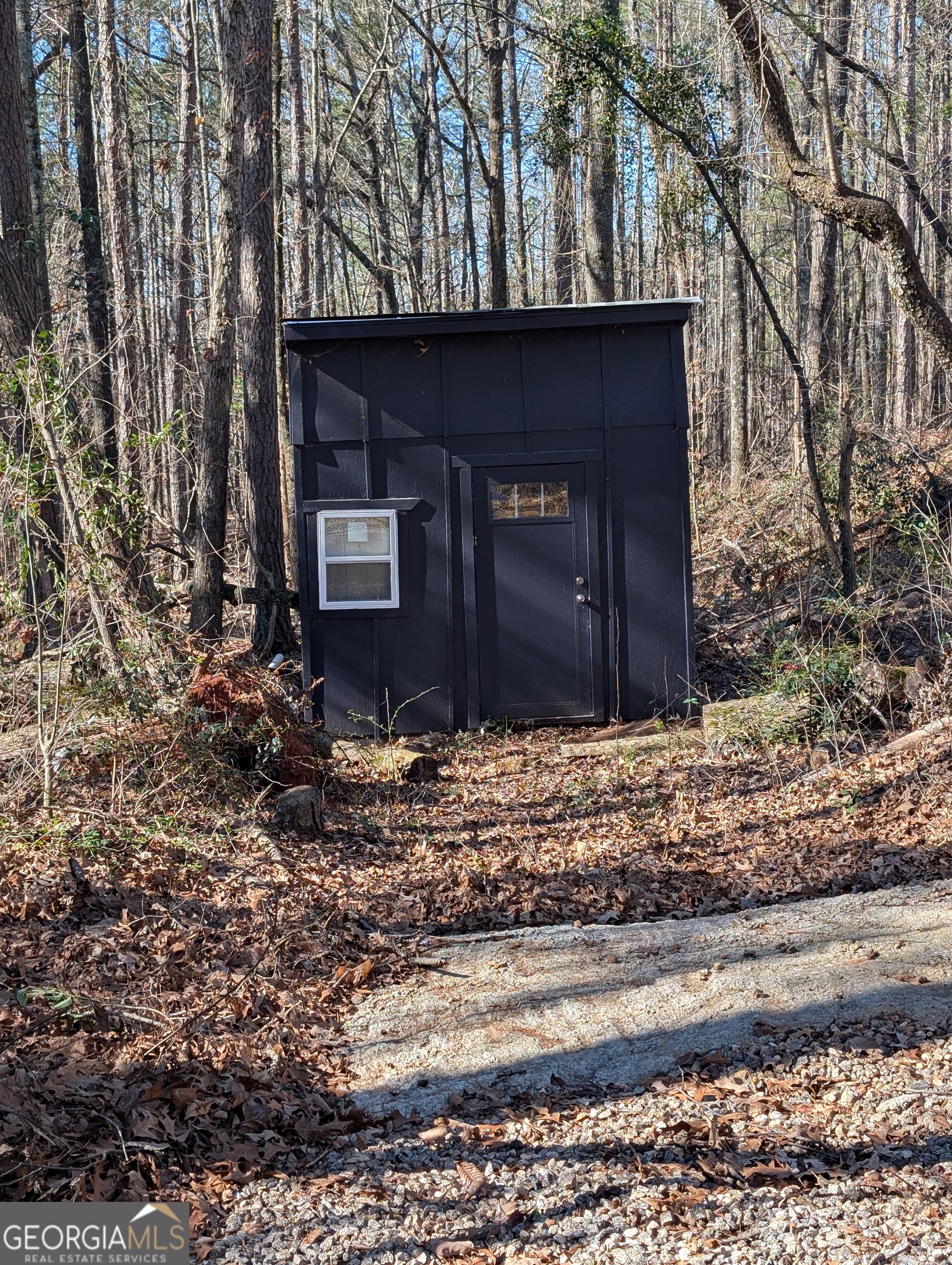 232 Chestnut Grove Road Shiloh, GA 31826 - Photo 8 of 22