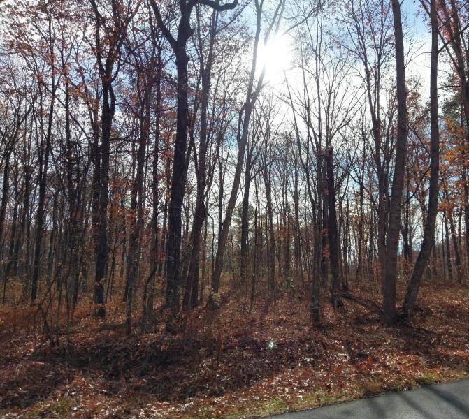 25 Deerhead Road Dunlap, TN 37327 - Photo 1 of 14