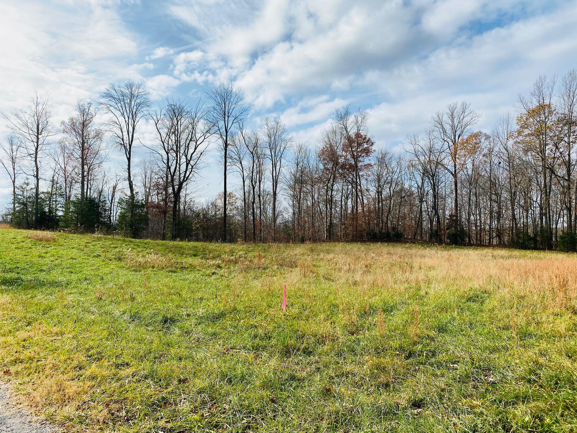 25 Stearns Holw Road Monticello, KY 42633 - Photo 24 of 25 IMG_4671