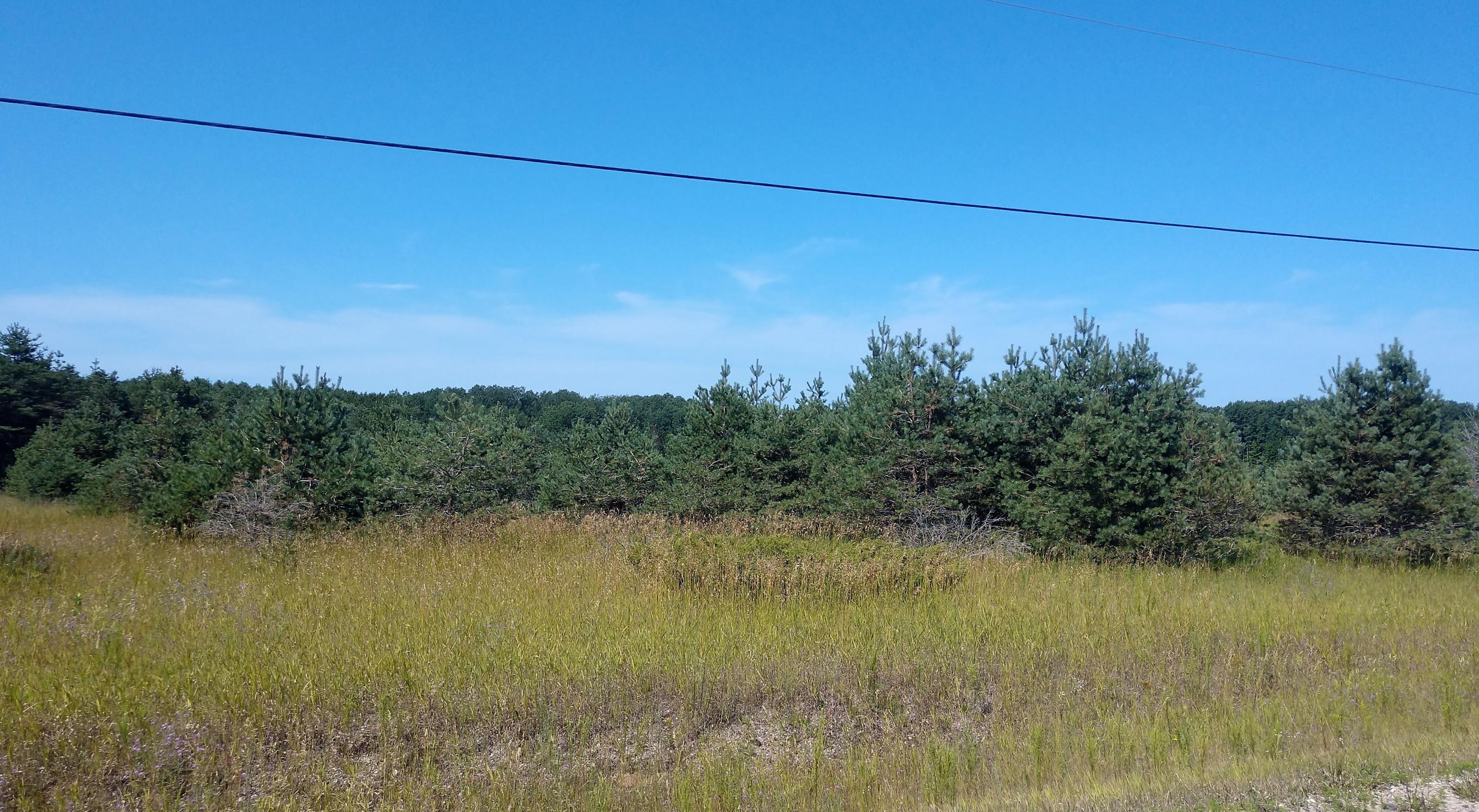 Tbd North Black River Road Cheboygan, MI 49721 - Photo 7 of 12