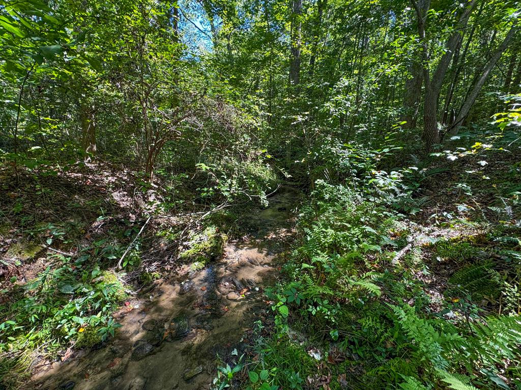 1420 Bible Road Crewe, VA 23930 - Photo 42 of 54 Gallery Image 42