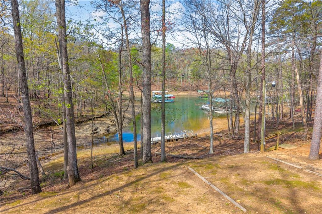 35 Villa Court Hartwell, GA 30643 - Photo 82 of 89