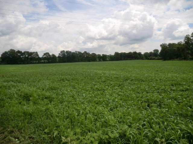 119 North Angola Road Coldwater, MI 49036 - Photo 17 of 18 CIMG6278