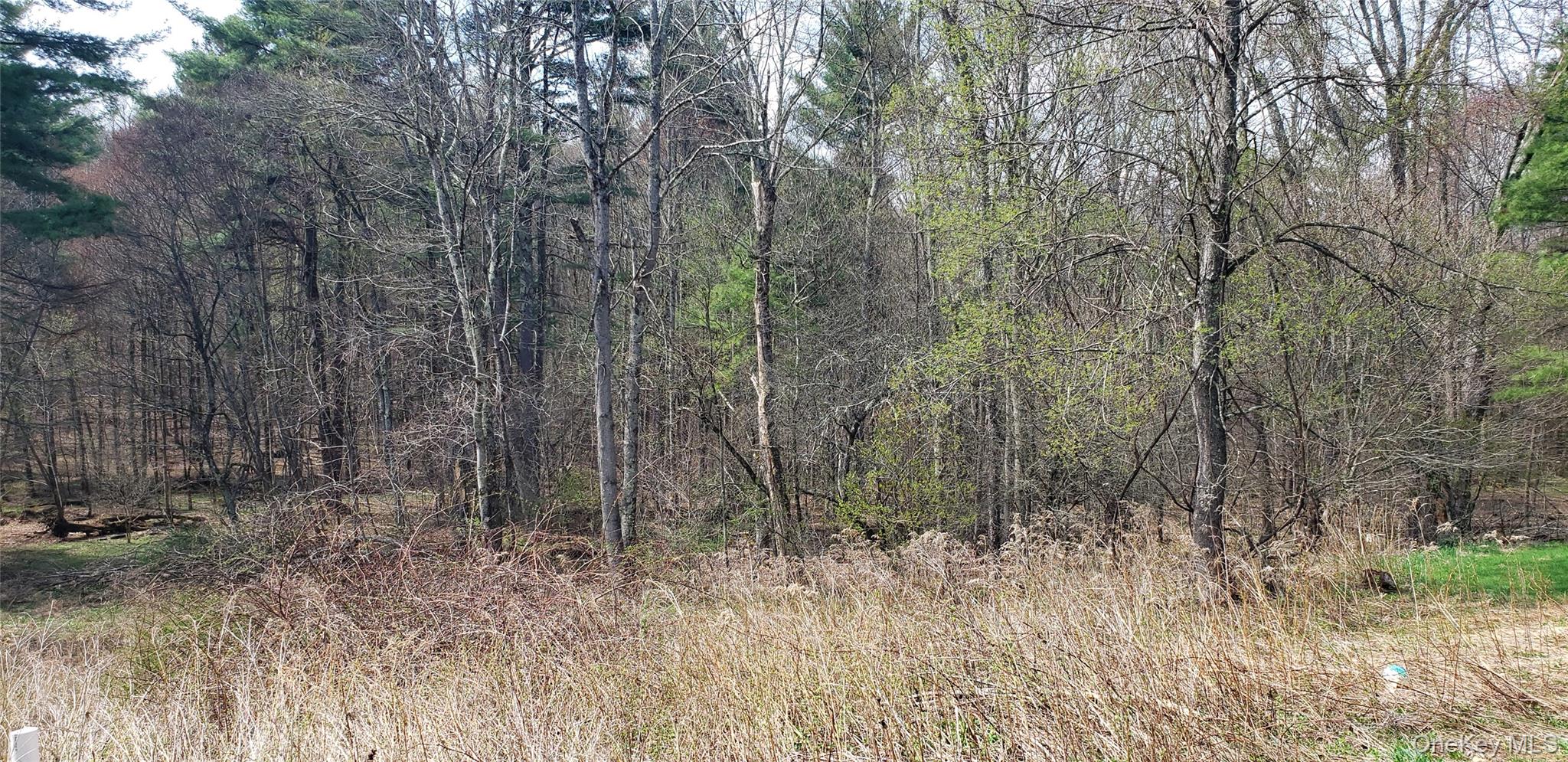 168 Harris Road Harris, NY 12742 - Photo 20 of 20