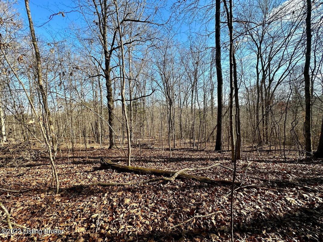 L59 Ted Logsdon Road Clarkson, KY 42726 - Photo 14 of 14 Image00014