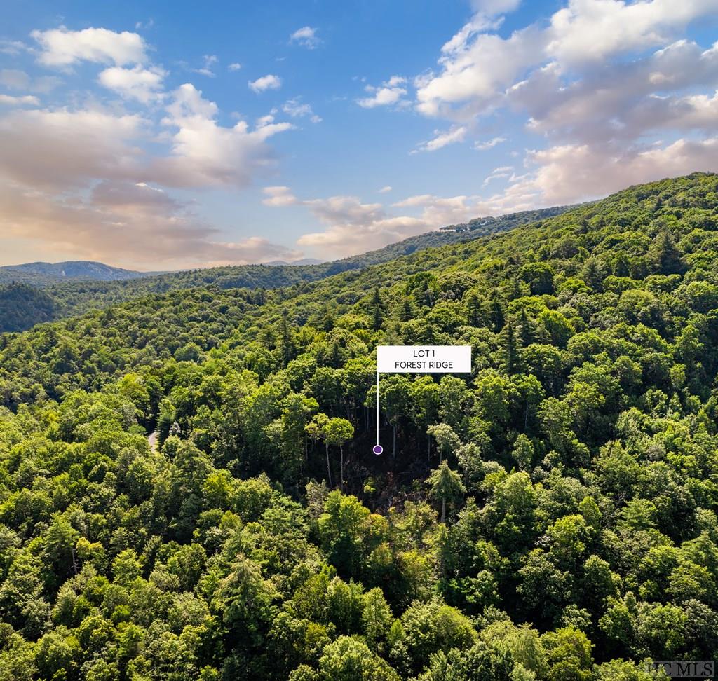 Lot 1 Forest Ridge Road Cashiers, NC 28717 - Photo 13 of 17 Gallery Image 13