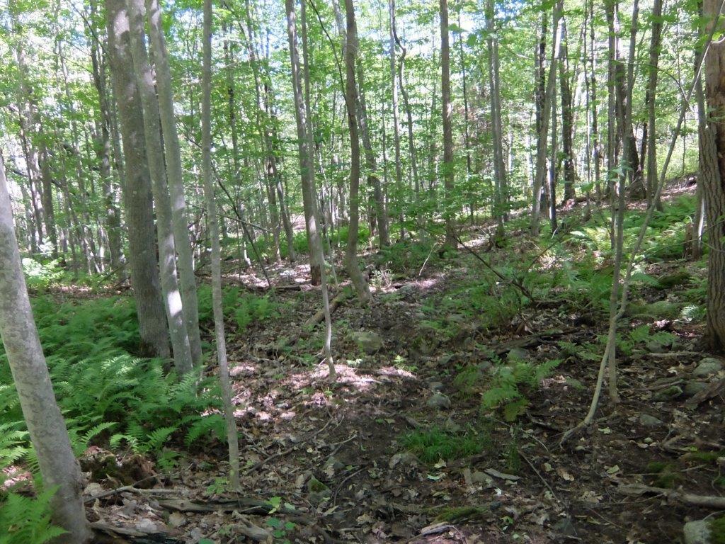 419 River Road Topsham, ME 04086 - Photo 7 of 22 DSCF9653